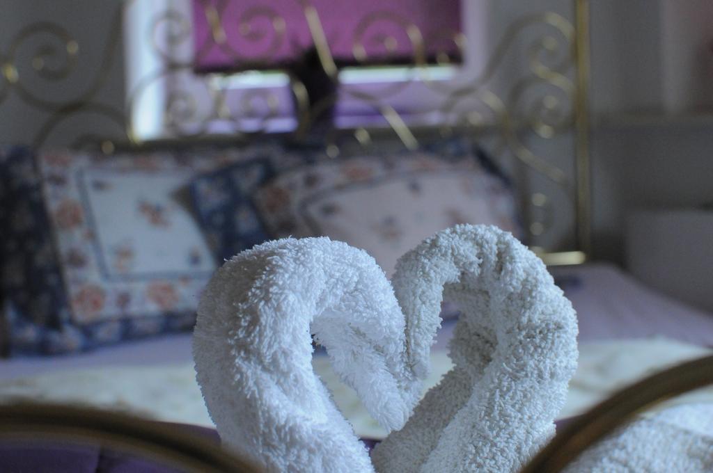 Hotel Villa Hubertus Кутно Стая снимка